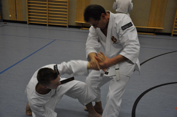 Training mit Satoh Sensei 