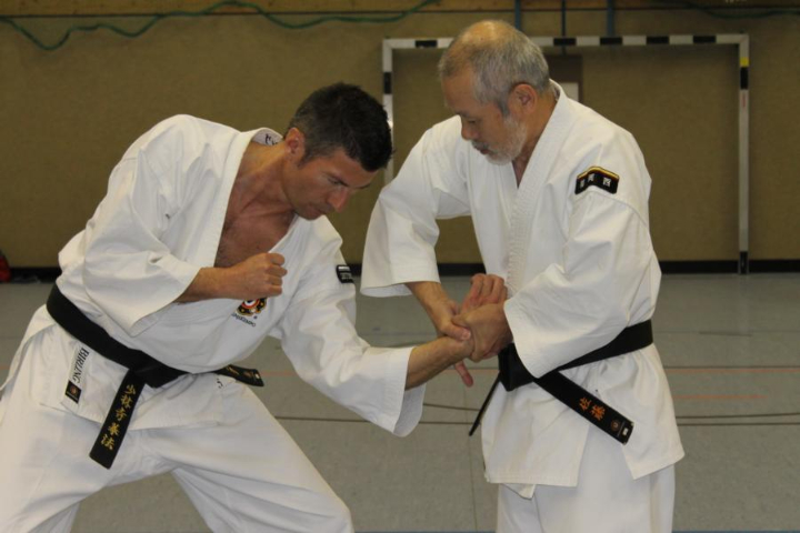 Training mit Satoh Sensei 
